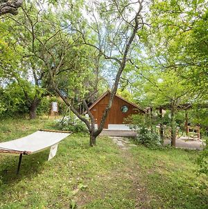 #Pinetree Cabin By Halu! Villas Kalandra Exterior photo