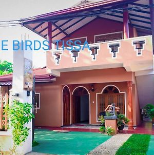 Blue Birds Tissa & Yala Safari Hotel Tissamaharama Exterior photo