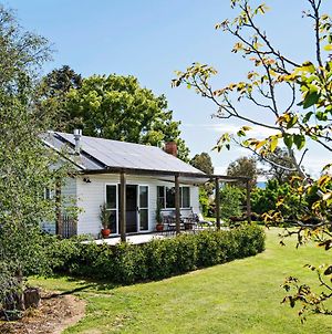 Toms Cottage - "Wilgowrah" -A Country Escape Mudgee Exterior photo