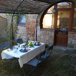 Apartment In An Organic Agriturismo With Sheep Pool Quiet Location Sorano  Exterior photo