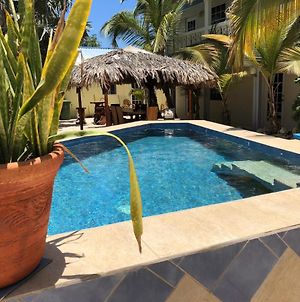 My Own Paradise Resort Bonaire Kralendijk  Exterior photo