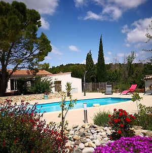 Villa With Pool And Enclosed Garden Between The Vineyards And Hiking Trails Lezignan-Corbieres Room photo