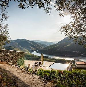 Romantic Luxury Douro Valley Villa And Vineyard Folgosa  Exterior photo
