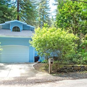 Blue Cherry! Redwoods! Bbq Grill! Fire Table! Ping Pong! Fast Wifi!! Dog Friendly! Villa Guerneville Exterior photo