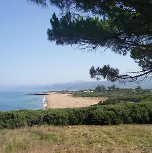 Tzanetos Seaside Villa Kyparissia Exterior photo