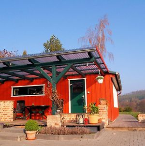 Detached Holiday Home In The Harz With Wood Stove And Covered Terrace Guntersberge Exterior photo