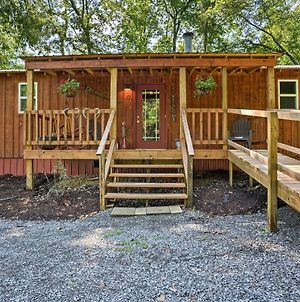 Secluded Cabin With 2 Fishing Ponds, Trails And More! Villa New Concord Exterior photo