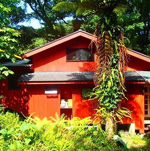 Yahisashi Cotergi 対流 山荘 Villa Yakushima  Exterior photo
