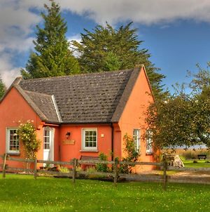 Clonmoylan - Hunters Home Cottage Galway Exterior photo
