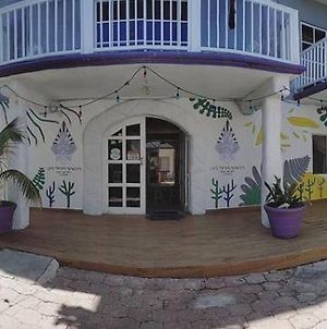 Les Trois Singes - Party And Friendly Hostel Isla Mujeres Exterior photo