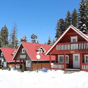 Ski Chalet Borovets Villa Exterior photo