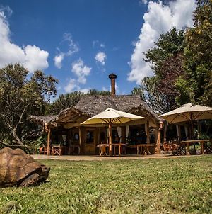 Chui Lodge Naivasha Exterior photo