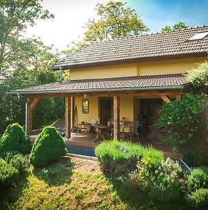 Green Hills Cottage In Zagorje With Magnificent View Ravnice-Desinicke Exterior photo