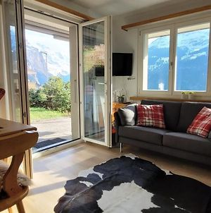 Chalet Sulegg - Valley Views Wengen With Terrace Apartment Exterior photo