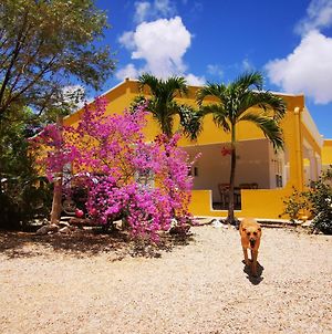Roadrunner-Bonaire Villa Kralendijk  Exterior photo