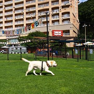 Sono Pet Clubs & Resorts Vivaldi Park Hongcheon Exterior photo