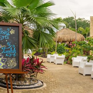 Tsaakik Jungle Hotel & Spa Cancun Exterior photo