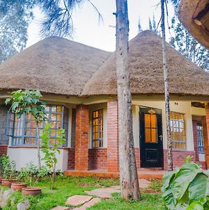 Edaala Comfort - Cottage Rooms Nairobi Exterior photo