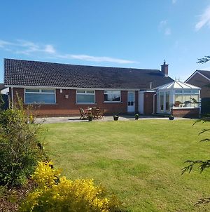The Burrow, A Spacious Bungalow In Heart Of Ni Templepatrick Exterior photo