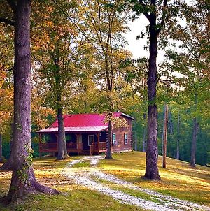 The Willow Family Friendly Country Cabin Red River Gorge Villa Ravenna Exterior photo