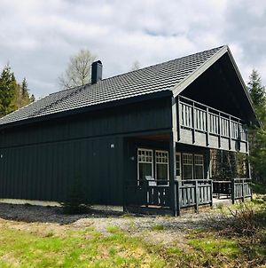 Hytte I Trysil Naer Osensjoen Med Sjoutsikt Villa Exterior photo
