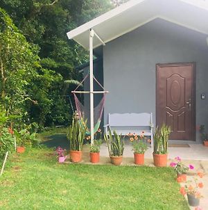 Casa Girasol Apartment Monteverde Exterior photo