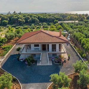 Villa George By Travelpro Sevices Nea Potidea Halkidiki Exterior photo