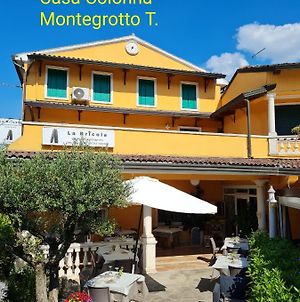 Casa Colonna Apartment Montegrotto Terme Exterior photo