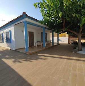 Chalet Playa Villa Benicarlo Exterior photo