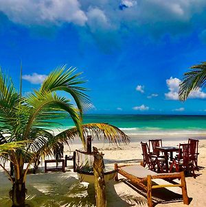 Simba Beach Zanzibar Bed & Breakfast Kiwengwa  Exterior photo