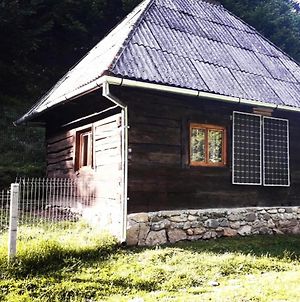 Cozy Hut Retreat In The Wild Nature Of Romania Villa Oncesti  Exterior photo