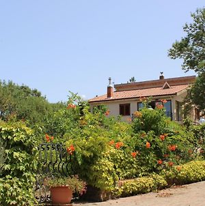 Villa Failla Castelbuono  Exterior photo