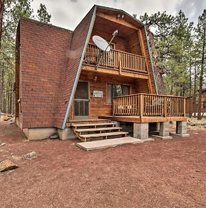 Cabin By Grand Canyon Backing To Natl Forest Villa Williams Exterior photo