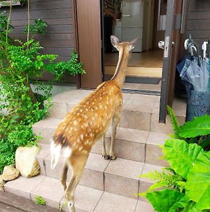 Deer Hostel- - 外国人向け - 日本語予約不可 Nara Exterior photo