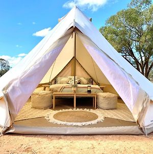 Mungo Roo Bunkhouse And Glamping Hotel Exterior photo