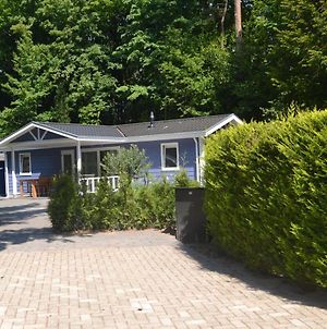 Lovely Chalet With Covered Terrace In A Holiday Park On The Edge Of The Forest Rhenen Exterior photo