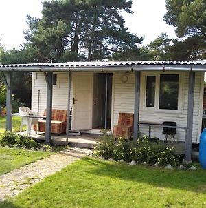 Renovated Wooden Cottage 300 Meters From The Beach Ragaciems Exterior photo
