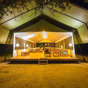 Yala Hotel Lion - Air Conditioned Luxury Tented Safari Camp Tissamaharama Exterior photo