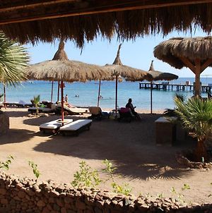 Sunshine Divers Club - Il Porto Bed & Breakfast Sharm el-Sheikh Exterior photo