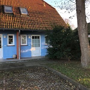 "Achtern Diek" Doppelhaushalfte Villa Dierhagen Exterior photo