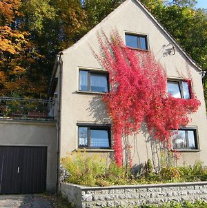 Unser Ferienhaus Villa Ebersbach-Neugersdorf Exterior photo