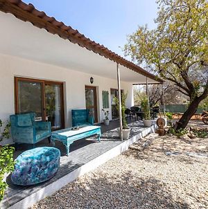 Enchanting House With Impressive Interior Design Surrounded By Nature In Bodrum Ciftlikkoy  Exterior photo