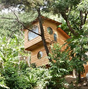 Treehouse Retreat - Glamping Plus Santa Cruz La Laguna Exterior photo