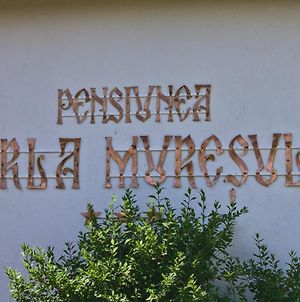 Perla Muresului Alba Iulia Exterior photo