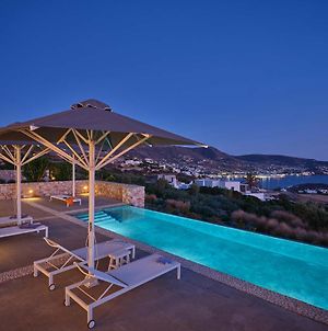 Delium Viu Villa With Infinity Pool & Sunset View Paros Island Exterior photo