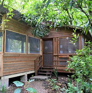 Iguana Roost Tourism Gold Standard Fully Equipped Two Bedroom Cabin San Ignacio Exterior photo
