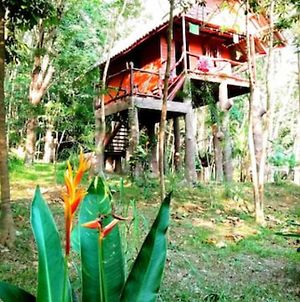 Garden View Treehouse : Treehouse Holidays Villa Ko Yao Noi Exterior photo