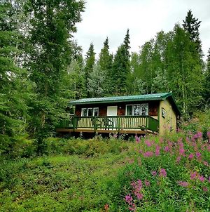 Northwoods Cottage Bed And Breakfast Fairbanks Exterior photo