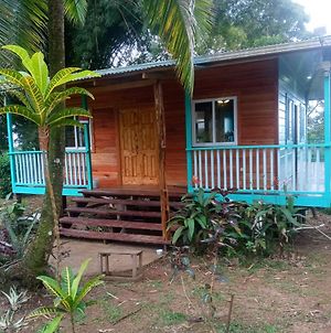 The Bamboo House Villa Bocas del Toro Exterior photo