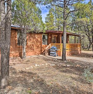 Happy Jack Cabin With Deck, Grill, Wooded Views Villa Exterior photo